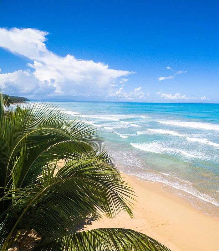 Horseback Riding on the beach